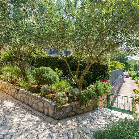 Neno 크리크베니카